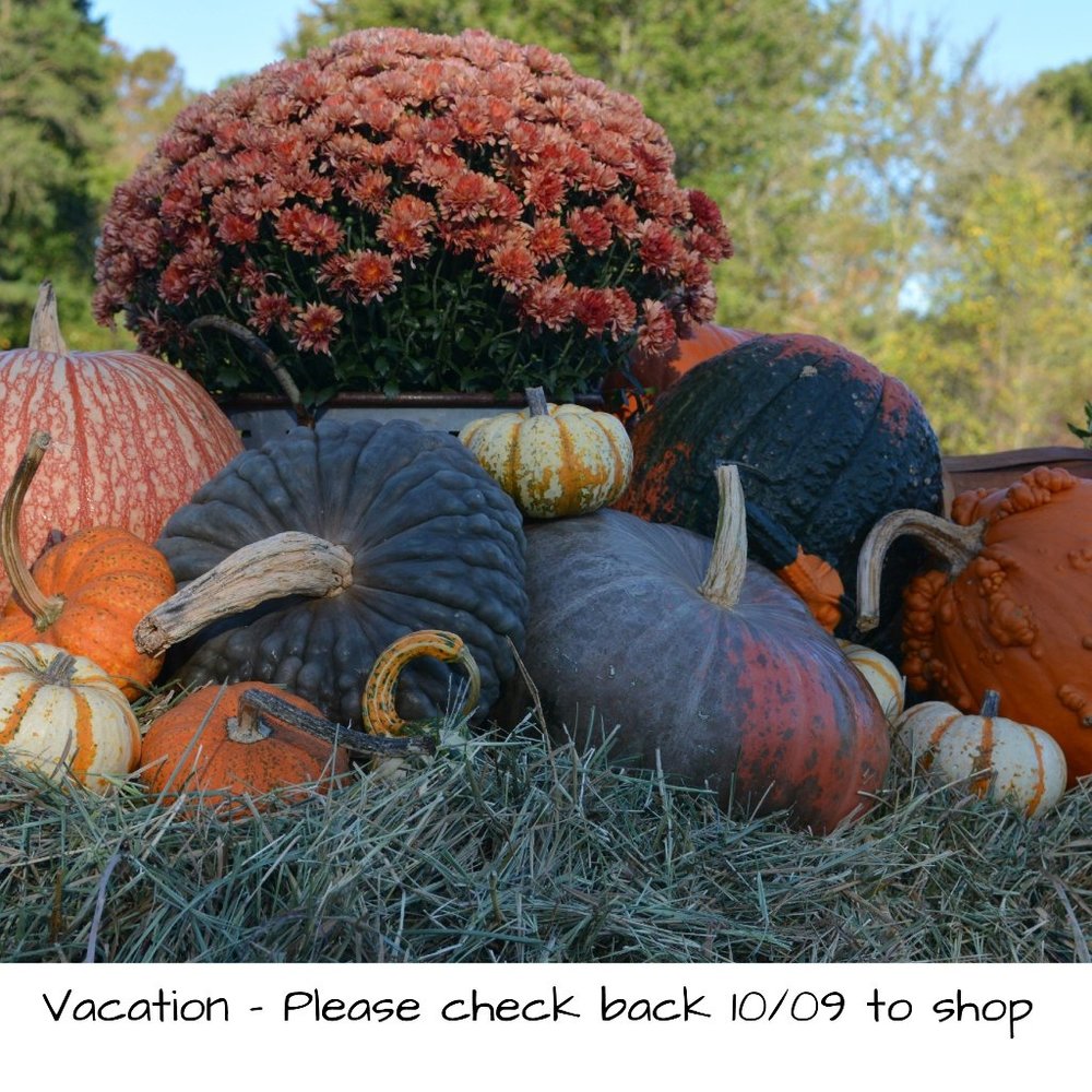 Vacation